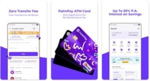 PalmPay